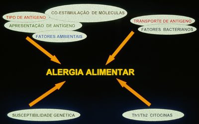 Figura 1. Esquema dos vários fatores envolvidos na gênese da AA.