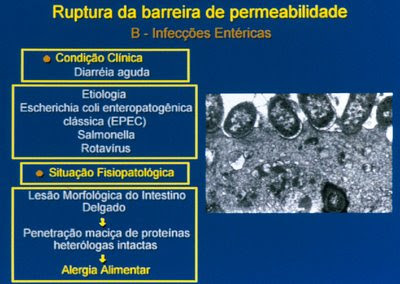 Figura 19. Esquema gráfico da sequência fisiopatológica da provocação de AA devido à infecção por Escherichia colienteropatogênica.