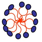 Figura 6- Representação esquemática da formação da micela, a qual terá capacidade de solubilizar as gorduras da dieta, devido aos seus 2 polos, um hidrofílico e outro hidrofóbico.