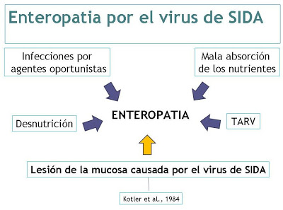 Quadro 1- Esquema multifatorial da enteropatia da AIDS.