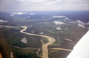 Figura 2- Vista aérea da região do Alto Xingu, em primeiro plano o rio Xingu e ao fundo a lagoa do Ipavu, aonde se localiza a aldeia Camaiurá.