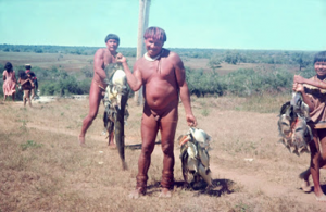Figura 19- Pescaria altamente bem sucedida para uma festa tribal.