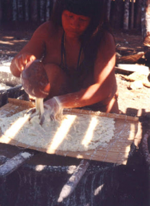 Figura 23- Índia fazendo a lavagem e peneirando a massa da mandioca para extração do ácido cianídrico.