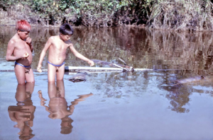 Figura 29- O pequi depois de colhido é colocado em cestas de bambu e depositado no lago para ser ingerido de acordo com a necessidade de cada pessoa. Esta é a fonte de vitamina A do Xingu.