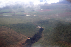 Figura 7- Vista aérea da região próxima ao PIX, evidenciando o avanço do desmatamento nas vizinhanças, restando apenas uma pequena mancha verde de floresta.