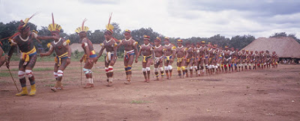 Figura 11- Festa tribal em que se pode observar o excelente estado físico dos índios.