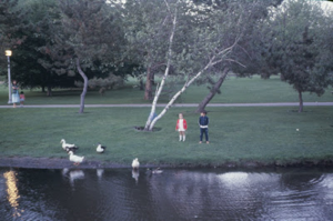 Figura 17- A família em passeio ao Whiteney-Pond Park.