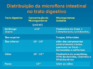 Figura 22- Distribuição da microflora normal do trato digestivo.