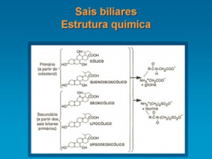 Figura 4- Estrutura química dos ácidos biliares primários e secundários. Observar nas cadeias laterais a conjugação com glicina ou taurina.