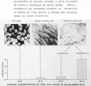 Figura 10- Ação deletéria dos sais biliares desconjugados sobre a mucosa do intestino delgado.