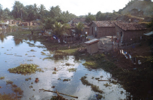 Figura 5- Uma favela brasileira, verdadeira fossa negra a céu aberto, e as crianças brincando nas águas contaminadas.