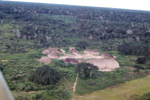 Figura 5- Vista aérea de 2 aldeias distintas do Alto Xingu. Notar a disposição circular das ocas e no centro do pátio observa-se a casa das flautas.