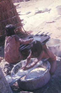 Figura 2- Mulheres índias ralando a mandioca.