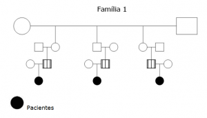 Gráfico 1- Héredrograma da Família 1