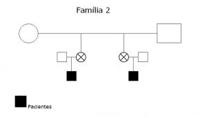 Gráfico 2- Héredrograma da Família 2