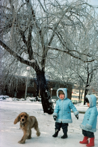 Figura 32- Juliana e Marina no inverno de 1978 no quintal do nosso prédio brincando com o cachorro de um nosso vizinho. Este foi um inédito e deslumbrante cenário, as águas da chuva, que caiu no dia anterior, se cristalizaram após um súbito decréscimo da temperatura abaixo de zero grau.