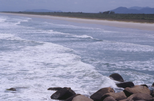 Figura 23- Face da ilha voltada para o mar aberto com uma praia extensa e paradisíaca.