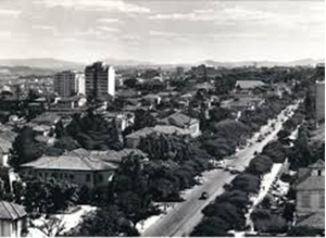 Figura 19- Avenida Paulista na década de 1950.