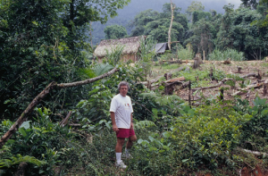 Figura 23- Nossa experiência com os Guaranis no litoral de São Paulo, em 1997.