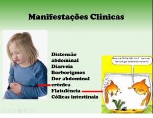 Figura 4- Representação esquemática das manifestações clínicas.