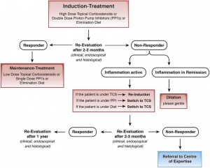 Figura 3- Algorritmo do tratamento da EEo. O tratamento deve ser iniciado com um agente anti-inflamatório (corticoide tópico ingerido), inibidores da bomba de protons, ou dieta de eliminação. A seleção do tratamento depende exclusivamente da preferência do médico e do paciente, porque nenhum estudo comparativo tem demonstrado que qualqualquer um deles é superior aos outros. A dilatação esofágica está indicada no caso da persistência dos sintomas a despeito do controle exitoso da inflamação. Aós cada oportunidade da estratégia do tratamento, os sintomas, e os aspectos endoscópicos e histológicos devem ser reavaliados, porque os sintomas não refletem acuradamente a atividade inflamatória da enfermidade. 