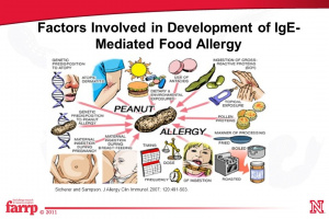 Figura 1- Diferentes alimentos causadores de alergia mediada por IgE.