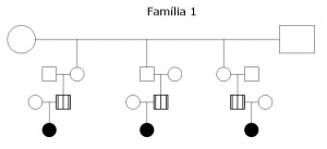Tabela 1- Heredrograma da Família 1