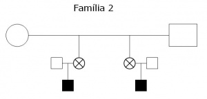 Tabela 3- Heredrograma da Família 2