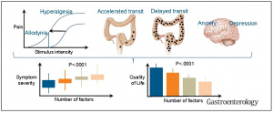 Figura 2- Representação esquemática da fisiopatologia da SII.